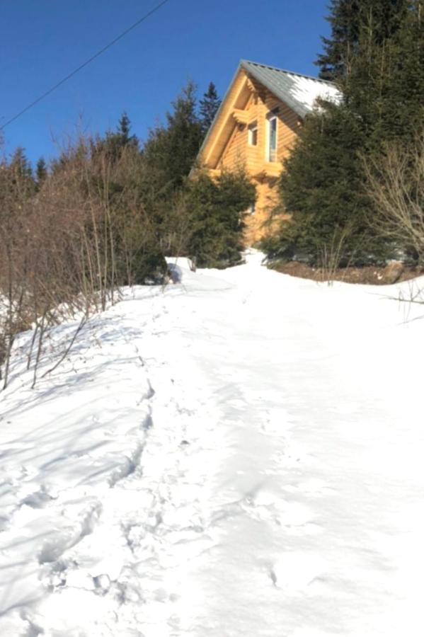 Alpenchalet Grabner Alm Am Praebichl Almhauser 外观 照片