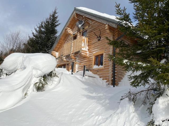Alpenchalet Grabner Alm Am Praebichl Almhauser 外观 照片