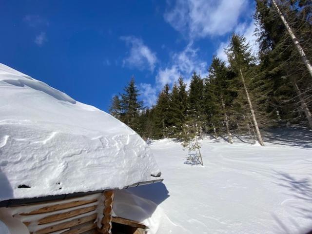 Alpenchalet Grabner Alm Am Praebichl Almhauser 外观 照片